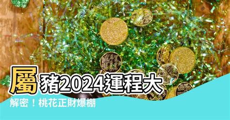 屬豬財位|【屬豬2024生肖運勢】暗湧頻生，運勢反覆｜屬豬運 